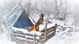 Caught in a Storm - Winter Camping in a Snowstorm with My Dog - Bushcraft Trip - Survival