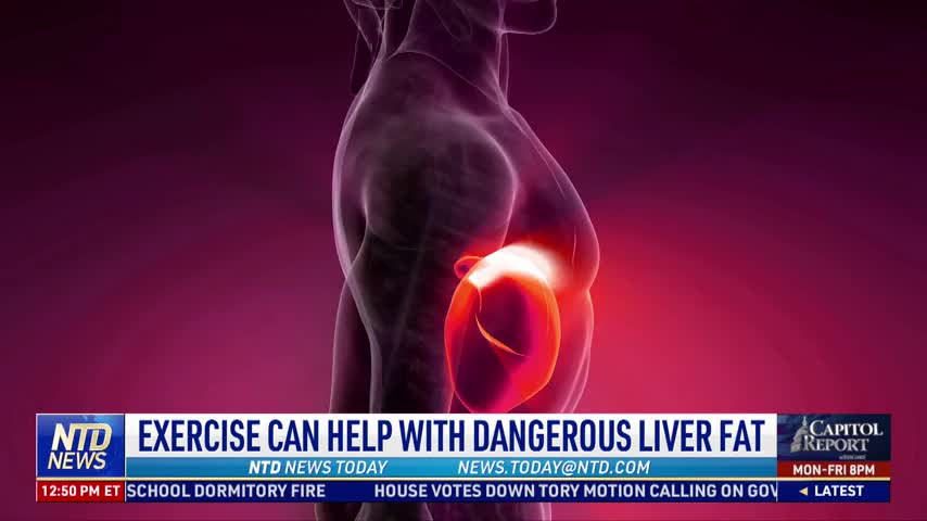Exercise Can Help With Dangerous Liver Fat