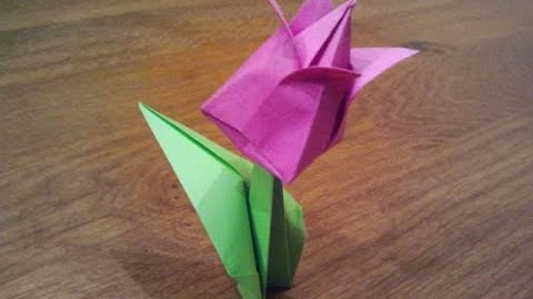 How To Make an Origami Tulip Flower