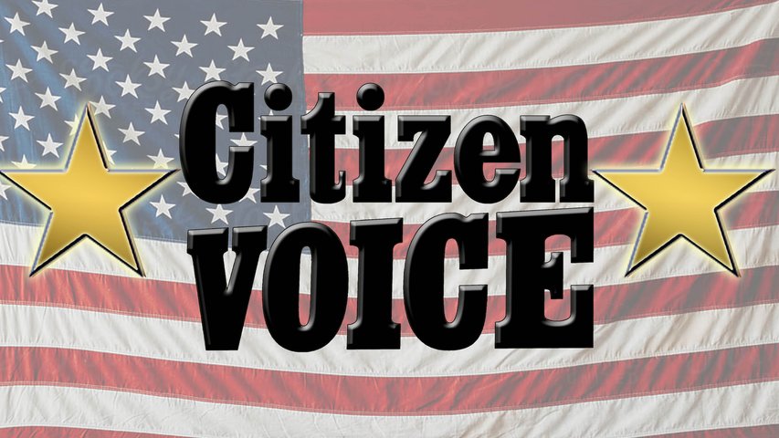 Citizen Voice - 'True U.S. History' with Dennis Jamison | Episode 15
