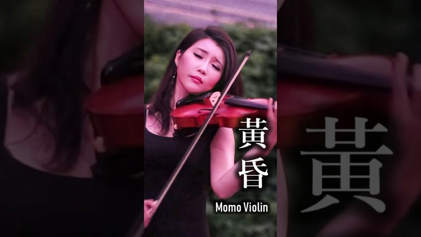 黄昏 小提琴 翻奏 小刚 #momoviolin #小提琴 #バイオリン #violin