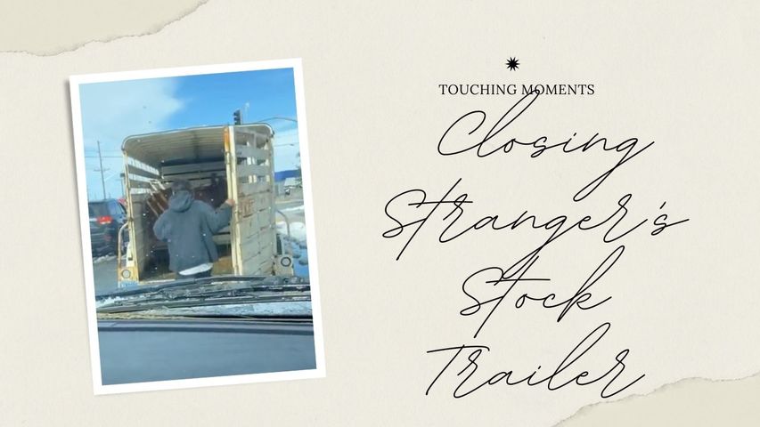 Closing A Stranger's Stock Trailer