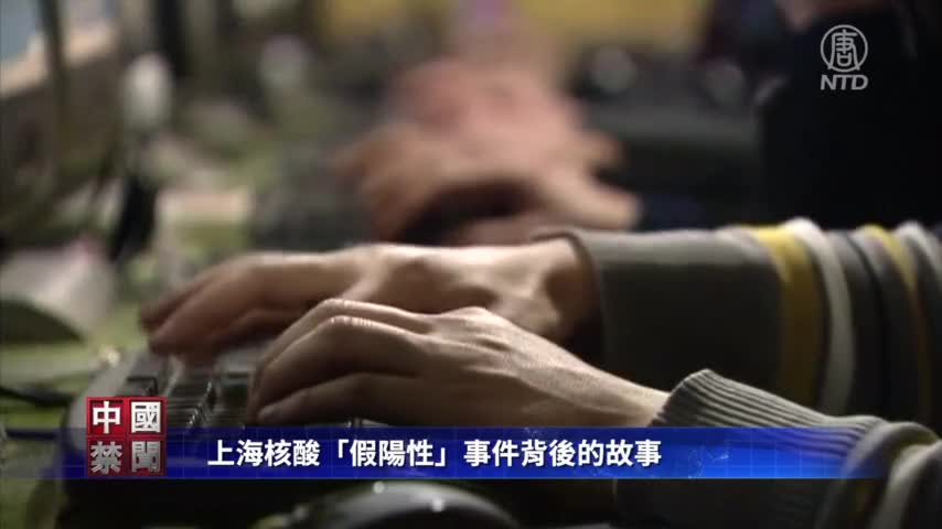 上海核酸「假陽性」事件背後的故事