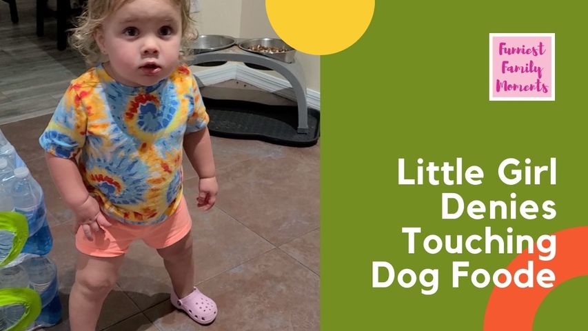 Little Girl Vehemently Denies Touching Dog Food When Questioned by Parent