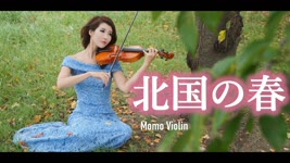 北国の春 - 千昌夫  バイオリン(Violin Cover by Momo) 北國之春/我和你 鄧麗君 歌詞付き