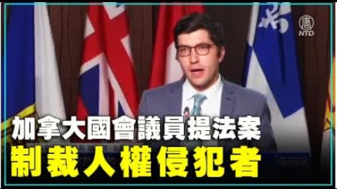 加拿大國會議員提法案 制裁人權侵犯者 ｜#新唐人新聞