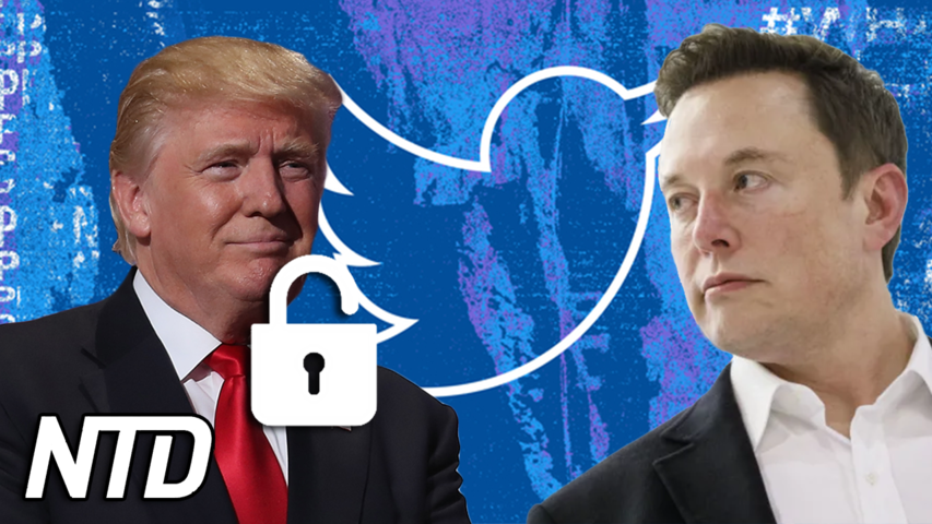 Musk säger att han kommer att upphäva Trumps Twitterförbud | NTD NYHETER