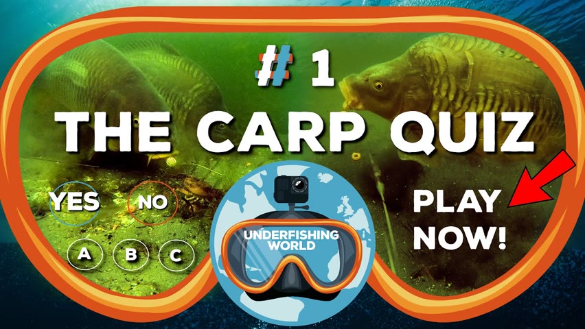 The Carp Quiz Nr 1. (Are you a carp expert?)