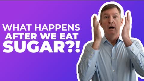 What happens after we eat sugar!? — Dr. Eric Westman