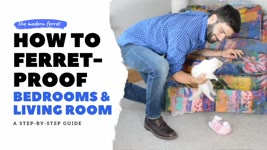 How to FERRET PROOF Your Bedroom and Living Room | Ferret Care
