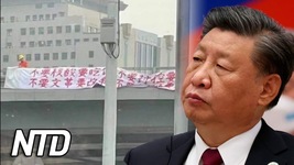 4-En hjälte Demonstranter stöder Kinas Bridge Man