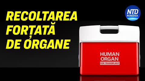 Europarlamentari, șocați de recoltarea ilegală de organe din China, cer măsuri imediate| NTD România