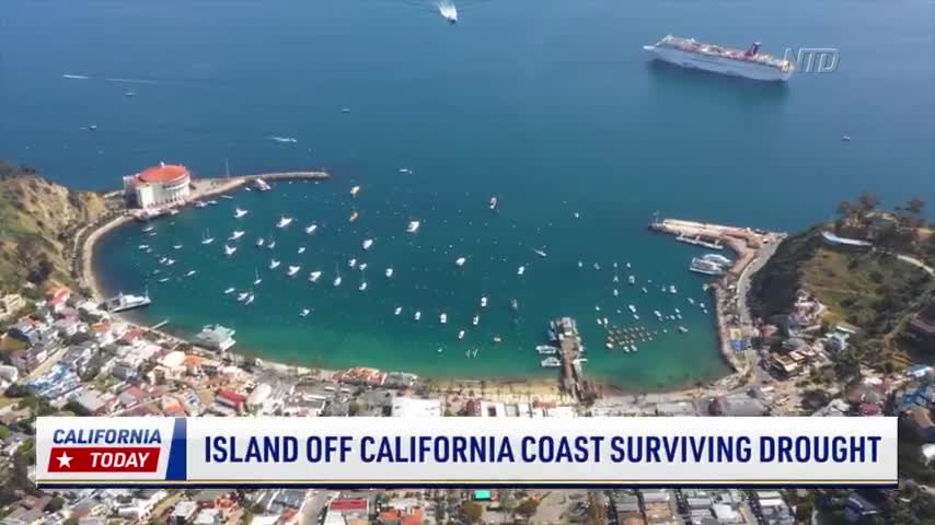 Island Off California Coast Surviving Drought