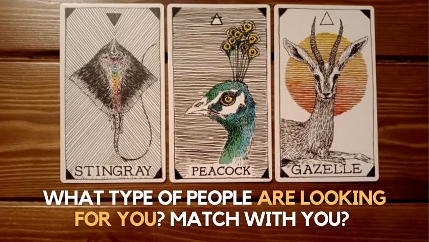 What type of people are looking for you? Match with you? ✨👩‍🦰🧐✨ | Pick a card