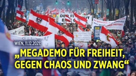 "Nein zum Impfzwang" – Zehntausende Menschen demonstrieren bei FPÖ-“Megademo“ in Wien