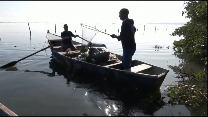 Бразильским рыбакам пришлось сменить занятие