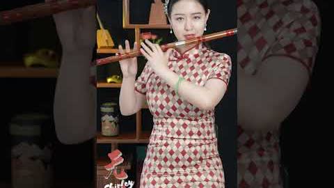 《无羁》'The Untamed'- Touching music played by Chinese instruments陈情令主题曲#shorts