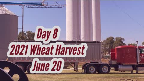 Day 8 - 2021 Wheat Harvest  / June 20 (Medicine Lodge, Kansas)