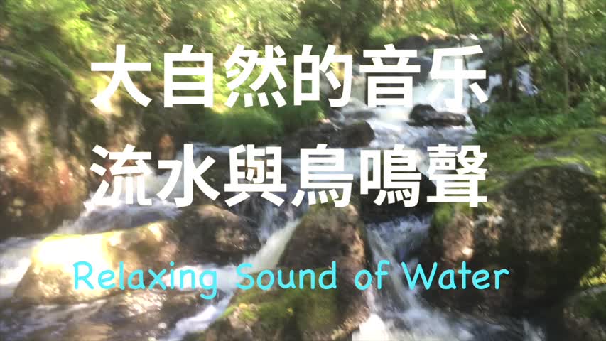 輕音樂//大自然的流水聲讓我們身心放鬆 ，Relaxing Sound of Water