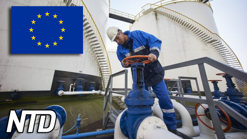 Europa minskar beroendet av importerad gas och mediciner | NTD NYHETER