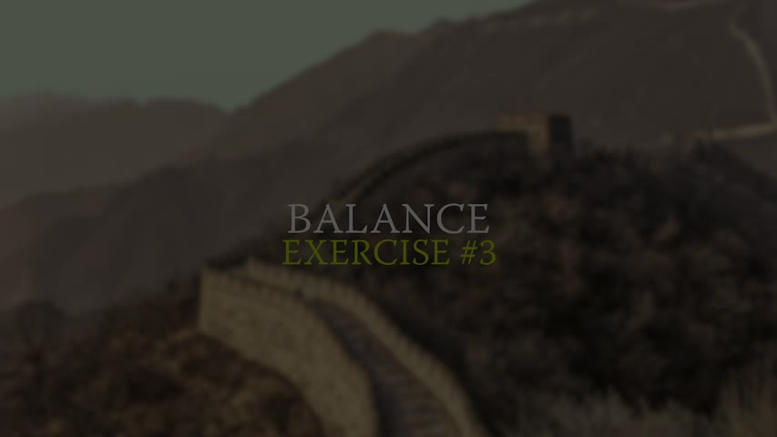 Balance Exercise 3