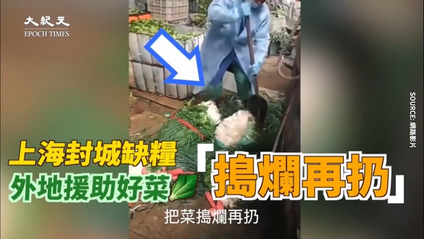 【焦點】外地援助上海的好蔬菜搗爛再扔掉😱新鮮豬肉被遣返😫  | 台灣大紀元時報