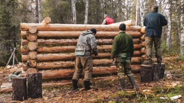 Build log cabin in taiga. Five men live in the taiga. Part I