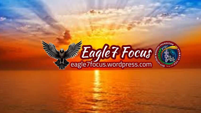 EAGLE7 FOCUS | ABOUT THIS CHANNEL