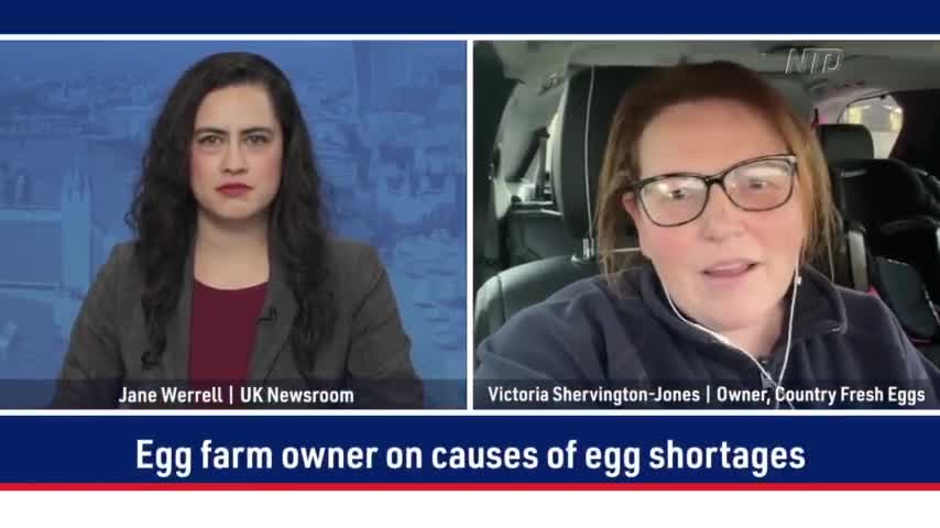 Egg Farm Owner on Causes of Egg Shortages