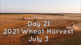 Day 21 - 2021 Wheat Harvest / July 3 (Chase, Kansas)