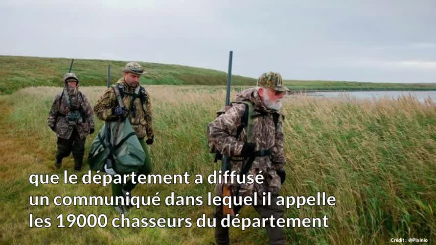 Le Loiret - des sangliers hors de contrôle, le département appelle les chasseurs