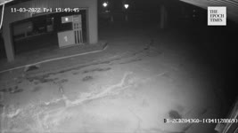 Video Shows Shooting at Gas Station in Ukrainian City