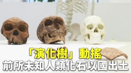 「演化樹」動搖 前所未知人類化石以國出土 - 考古新發現 - 新唐人亞太電視台