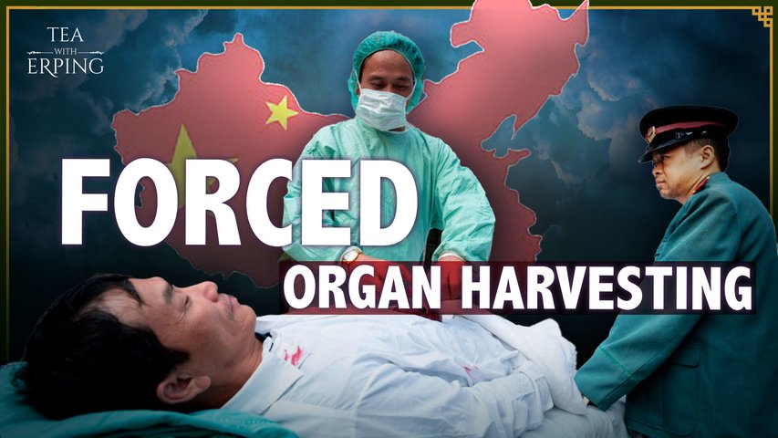 China’s Darkest Atrocity: Harvesting Organs from Prisoners of Conscience | Tea with Erping