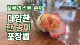 꽃 한 송이 다양하게 포장하기 / 남자 플로리스트 존 / Wrapping one rose with various ways / Korean Male Florist John