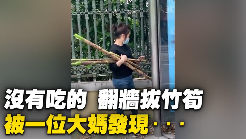 上海楊浦，兩位女士沒有吃的，翻牆進小區拔竹筍，被一位大媽發現···【 #大陸民生 】| #大紀元新聞網