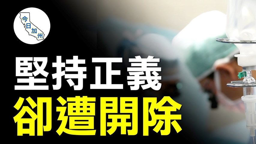 調查器官移植真相 原中國醫生遭開除