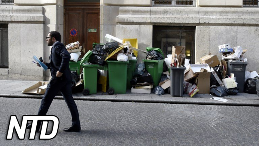 Parisare upprörda på borgmästaren på grund av stadens förfall | NTD NYHETER