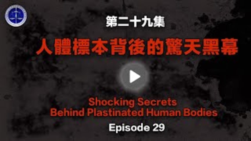 【鐵證如山系列講座】第29集 人體標本背後的驚天黑幕  Episode 29_ Shocking Secrets Behind Plastinated Human Bodies