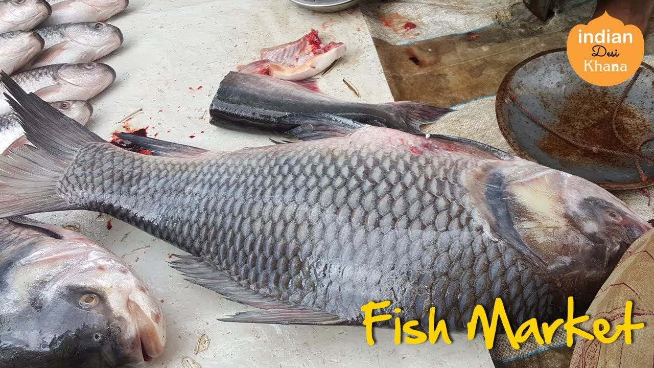 Fresh Fish | Fish Market Madan Mahal Jabalpur | Machli Bazar