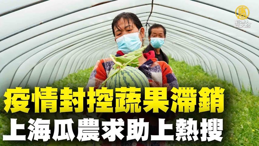 疫情封控蔬果滯銷 上海瓜農求助上熱搜｜時代潮流｜20220527