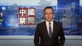 공산당 조직에서 탈당하는 중국인들 (NTD 탈당 특선 2021년 6월 6일)