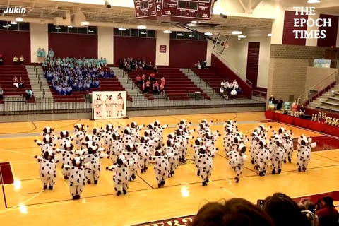 Dance Team Performs Routine Dressed as Cows