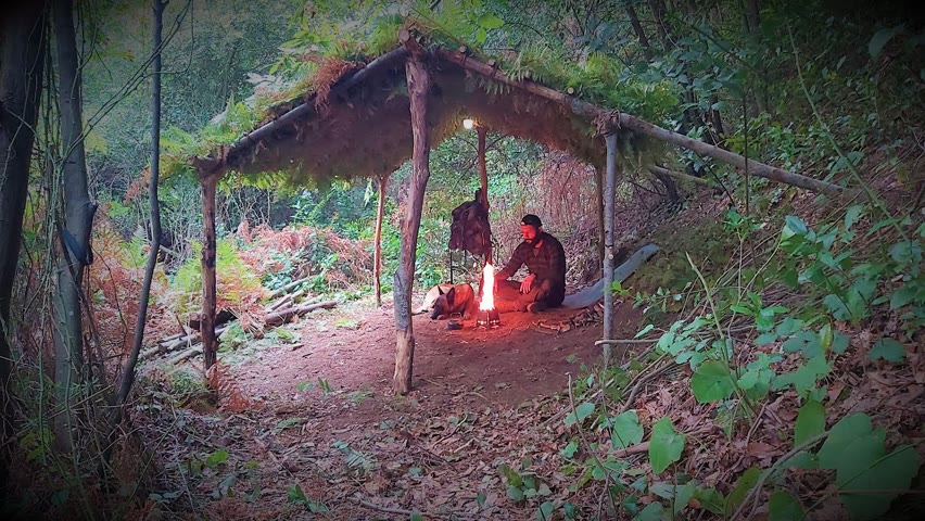 Primitive Bushcraft shelter Camping - Build Survival Tiny House - Off Grid living - Diy - Asmr
