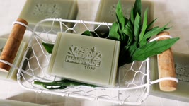 加拿大蓬油萃皂 - how to extract the fresh plants and apply in the natural handmade soap - 手工皂