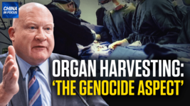ORGAN HARVESTING IS THE GENOCIDE ASPECT- EXPERT
