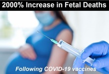 2000% Increase in Fetal Deaths Following COVID-19 Vaccines
