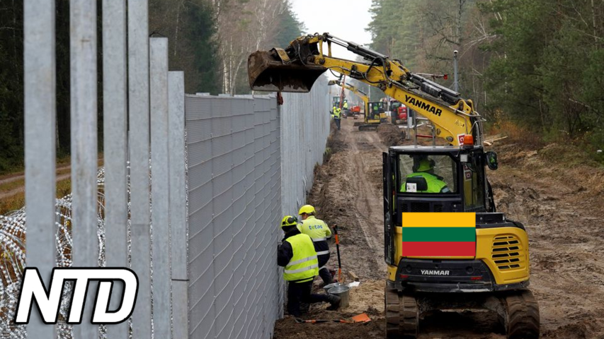 Litauen bygger mur mot migranter från Vitryssland | NTD NYHETER