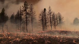 美俄勒岡山林大火燒逾20戶  老夫婦家園神奇避災 - 森林野火 - 國際新聞
