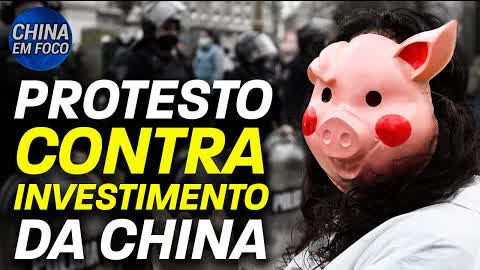 Argentinos protestam contra fazenda de suínos da China; China se opõe a sanções ao Talibã